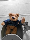 Teddy