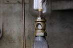Zur&uuml;ckgeholt (Foto: nnz)