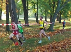 Stadtparklauf (Foto: Karl-Heinz Herrmann) Stadtparklauf (Foto: Karl-Heinz Herrmann)