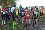 Stadtparklauf (Foto: Karl-Heinz Herrmann) Stadtparklauf (Foto: Karl-Heinz Herrmann)