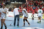 THC unterliegt Gy&ouml;r 25:33 (Foto: Christoph Keil)