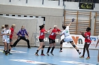 THC unterliegt Gy&ouml;r 25:33 (Foto: Christoph Keil)
