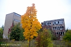 Unsere Alte Frauenbergschule (Foto: nnz-City Scout Sven G&auml;mkow)