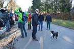 Doppelkörner auf Wanderschaft (Foto: A. Richter) Doppelkörner auf Wanderschaft (Foto: A. Richter)