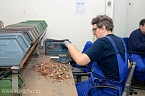 Tag der offenen T&uuml;r (Foto: nnz-City Scout Sven G&auml;mkow)