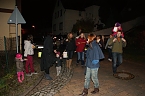 Martini in Obergebra (Foto: M. Randel) Martini in Obergebra (Foto: M. Randel)