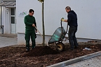 Letzte Arbeiten (Foto: nnz)