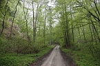 Der Alte Stolberg (Foto: BUND Nordhausen)