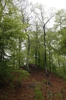 Der Alte Stolberg (Foto: BUND Nordhausen)