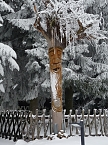 Erlebnisse auf dem HoheHof (Foto: HohneHof) Erlebnisse auf dem HoheHof (Foto: HohneHof)