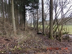 Das war einmal der Karstwanderweg (Foto: B. Schwarzberg) Das war einmal der Karstwanderweg (Foto: B. Schwarzberg)
