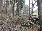 Das war einmal der Karstwanderweg (Foto: B. Schwarzberg) Das war einmal der Karstwanderweg (Foto: B. Schwarzberg)