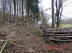 Das war einmal der Karstwanderweg (Foto: B. Schwarzberg) Das war einmal der Karstwanderweg (Foto: B. Schwarzberg)