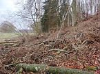 Das war einmal der Karstwanderweg (Foto: B. Schwarzberg) Das war einmal der Karstwanderweg (Foto: B. Schwarzberg)