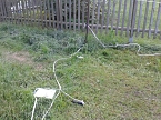 Bild: Verw&uuml;stete Koppel (Foto: privat)