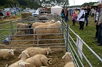 Er&ouml;ffnung des Bauernmarktes in Kallmerode (Foto: Ilka K&uuml;hn)