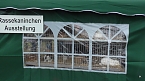 Erster Tag Bauernmarkt in Kallmerode (Foto: Ilka K&uuml;hn)