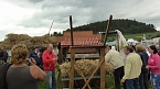 Erster Tag Bauernmarkt in Kallmerode (Foto: Ilka K&uuml;hn)