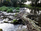 Rundgang an der Zorge (Foto: Karin Lehmann, Peter Blei)