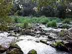 Rundgang an der Zorge (Foto: Karin Lehmann, Peter Blei)