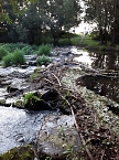Rundgang an der Zorge (Foto: Karin Lehmann, Peter Blei)