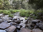 Rundgang an der Zorge (Foto: Karin Lehmann, Peter Blei)