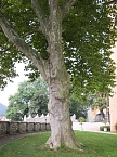 Schloss und Kirche in Sondershausen (Foto: Karin Lehmann, Peter Blei) Schloss und Kirche in Sondershausen (Foto: Karin Lehmann, Peter Blei)