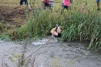 Wipper-Tauziehen (Foto: Michael Randel)