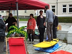 Wahlkampfendspurt bei den Linken (Foto: Karin Lehmann, Peter Blei)