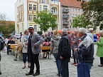 Wahlkampfendspurt bei den Linken (Foto: Karin Lehmann, Peter Blei)
