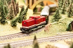 Bild: 60 Jahre Modelleisenbahn in Nordhausen (Foto: Sven Tetzel)