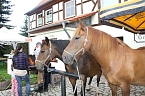 Bild: Tag des offenen Denkmals in der Alten Schmiede in Obergebra (Foto: Michael Randel)