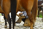 Bild: Tag des offenen Denkmals in der Alten Schmiede in Obergebra (Foto: Michael Randel)