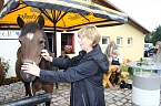 Bild: Tag des offenen Denkmals in der Alten Schmiede in Obergebra (Foto: Michael Randel)