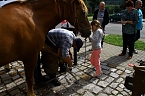 Bild: Tag des offenen Denkmals in der Alten Schmiede in Obergebra (Foto: Michael Randel)