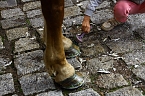 Bild: Tag des offenen Denkmals in der Alten Schmiede in Obergebra (Foto: Michael Randel)