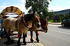 Bild: Tag des offenen Denkmals in der Alten Schmiede in Obergebra (Foto: Michael Randel)