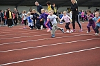 Bild: Vereinssportfest (Foto: Y. Richter)