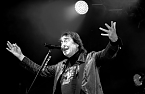 Bild: Pudhys beim Emmenrausch (Foto: K. Thorhauer)