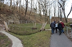 Neue Freifl&auml;che Kurpark &uuml;bergeben (Foto: Karl-Heinz Herrmann)