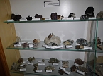 Besuch im Ilfelder Heimatmuseum (Foto: Manfred Kappler)