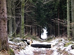 Die Teufelsm&uuml;hlen - der Name wurde den Harzer Mythen entlehnt (Foto: Peter Blei)