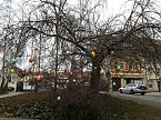 Ist etwa schon Ostern? (Foto: Peter Blei)