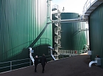 Besuch der Anlage: Links die beiden Fermenter, rechts ein G&auml;rrestebeh&auml;lter (Foto: nnz)