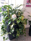 Fr&uuml;hlingsschmuck und Fr&uuml;hlingsmode in der S&uuml;dharzgalerie (Foto: Peter Blei)