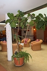 Offene T&uuml;ren im St. Jakob Haus (Foto: Peter Blei)