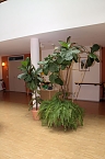 Offene T&uuml;ren im St. Jakob Haus (Foto: Peter Blei)