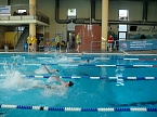 Erfolge bei Schwimmfest in M&uuml;hlhausen (Foto: privat)