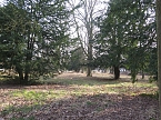 Das Areal des Lindenhofes (Foto: nnz)
