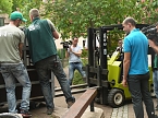 B&auml;rin Conny zieht nach Worbis (Foto: Ilka K&uuml;hn)